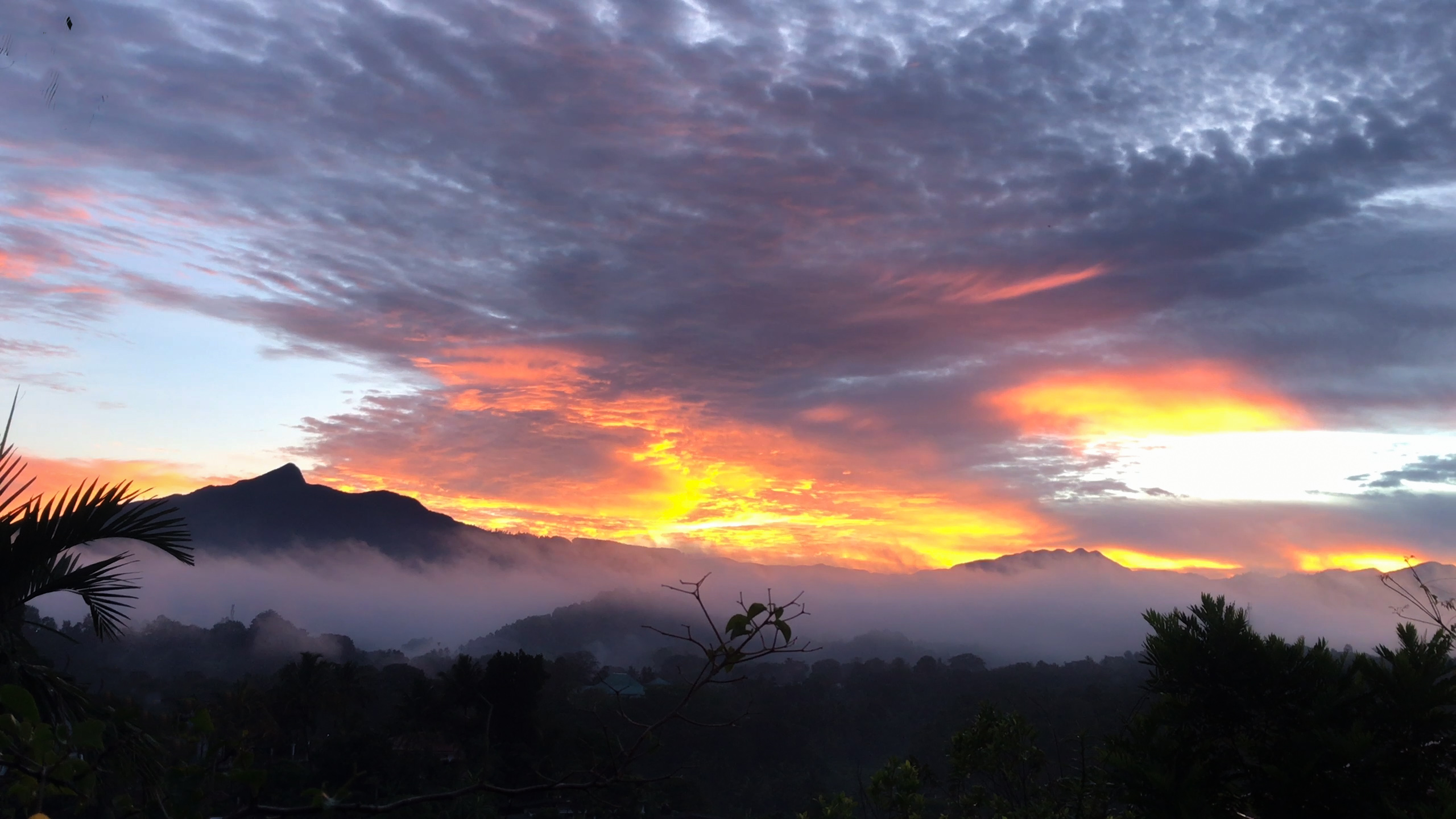 Beauty of the morning sky after previous day heavy rain captured from the front garden